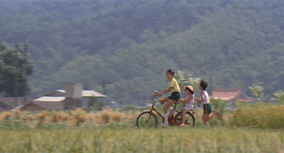 35年前侯孝贤押着房子拍它，上映后票房惨淡，但豆瓣高达8.5分