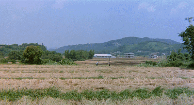 35年前侯孝贤押着房子拍它，上映后票房惨淡，但豆瓣高达8.5分