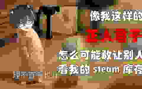 【无前Namae】异性间最亲密的事情，就是给她看你的steam库存