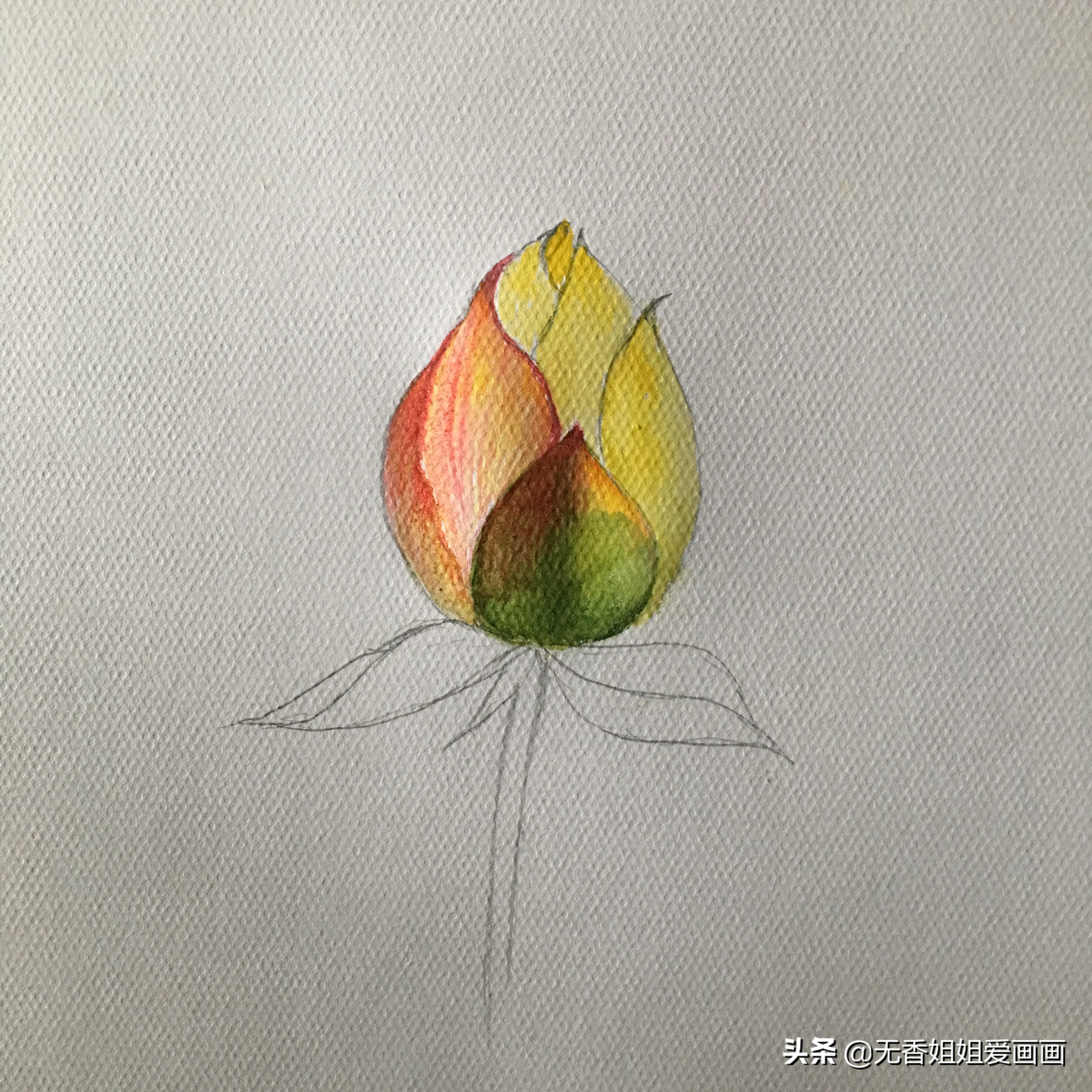 简笔画：教你绘画一看就会的《荷花花苞》，附详细教程