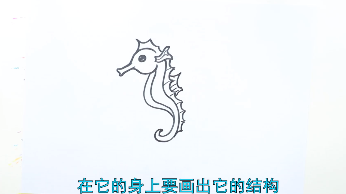 海洋生物怎么画