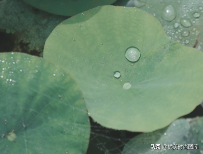 抖音上最火的下雨说说让人点赞 雨天幽默又很正能量的句子