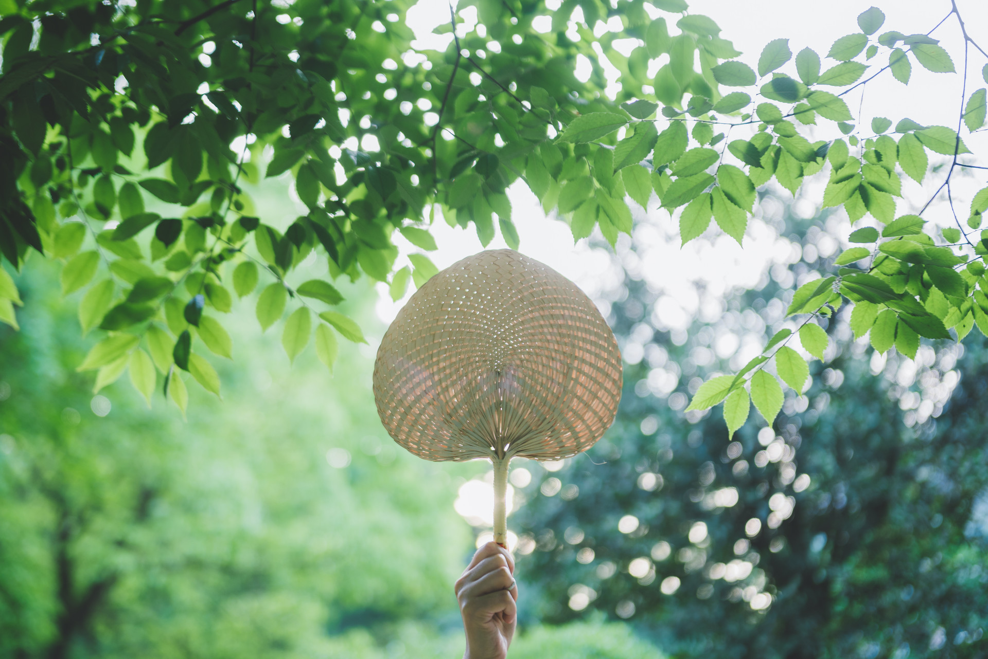 倪萍《姥姥语录》：一位小脚老太太留下的人生哲理，太实用了