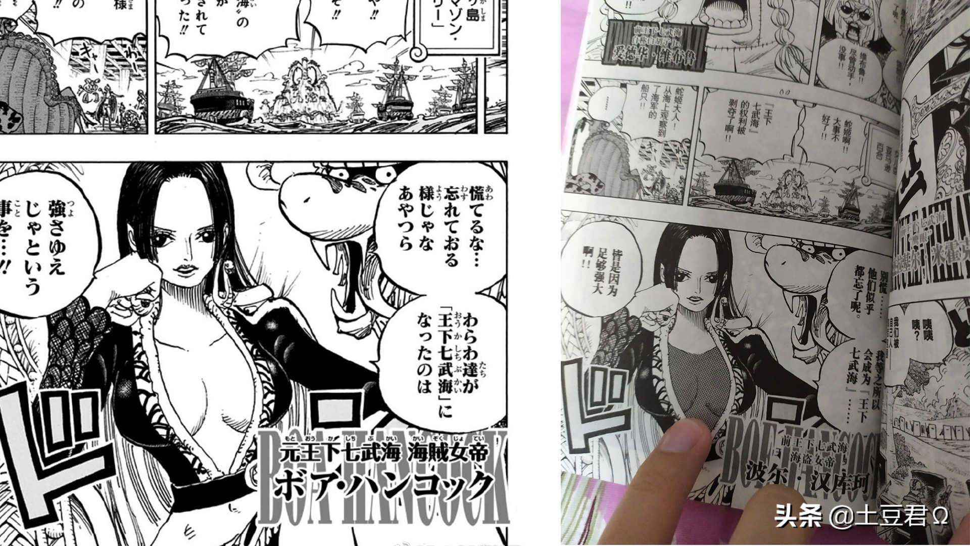 海贼王漫画被“打码”，女帝穿渔网内衣，罗宾身材变了