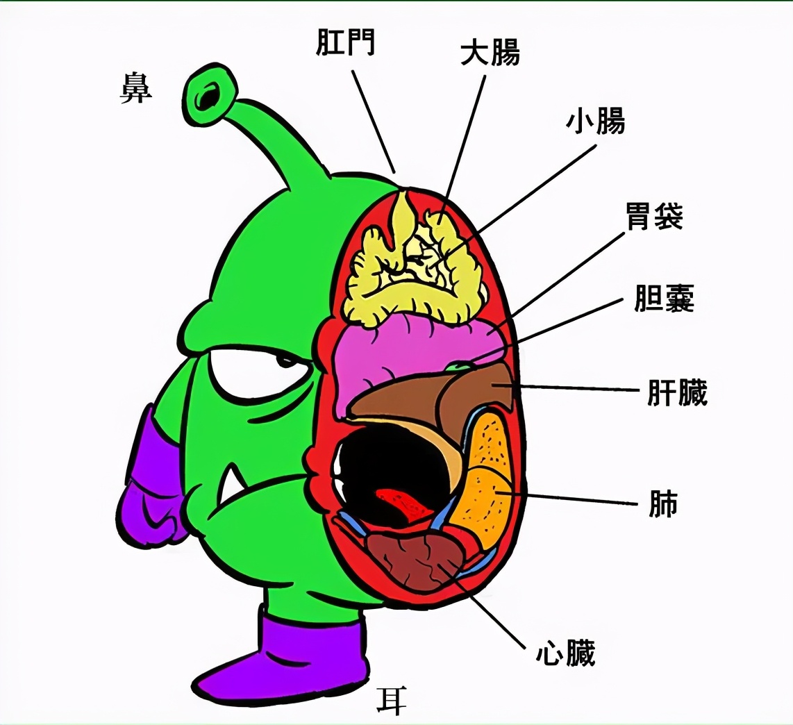 《阿拉蕾》中的外星人尼可真大王，最后终于回到了自己的母星