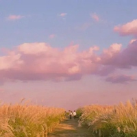 好看唯美秋天风景微信头像 微信头像花秋天的风景（共24张）