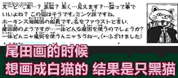 《海贼王》生命卡，霍金斯的重要副手会出场，名字叫浮士德的猫之魔术师