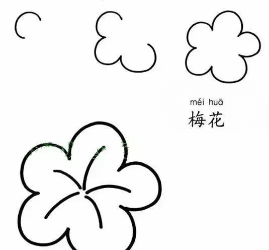 简笔画｜各种花朵简笔画，寒假让孩子轻松认识各种花卉，快收藏！