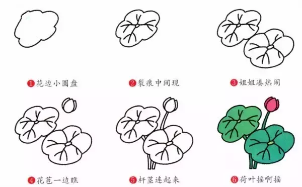 简笔画｜各种花朵简笔画，寒假让孩子轻松认识各种花卉，快收藏！