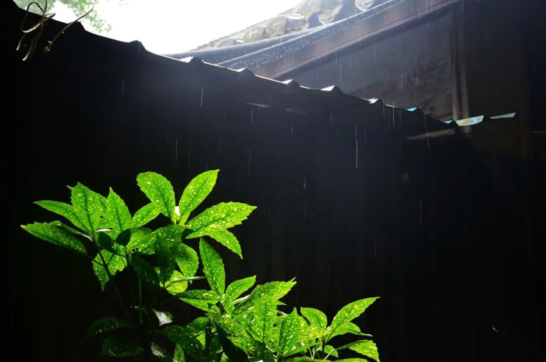 诗词｜雨天发朋友圈，文案这样写