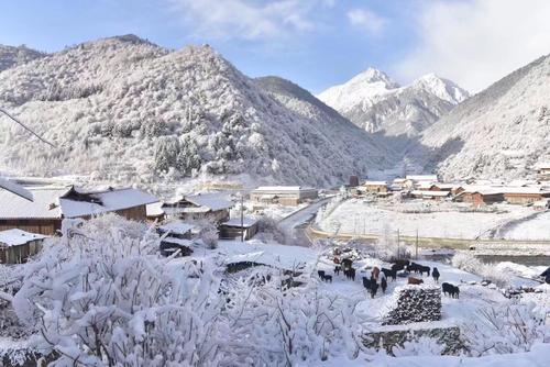 大雪纷飞唯美说说 | 小小的六瓣雪 花从空中降落 在我心上融化