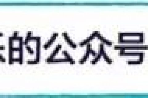 速通高手再次证明了通关《只狼》不需要视力