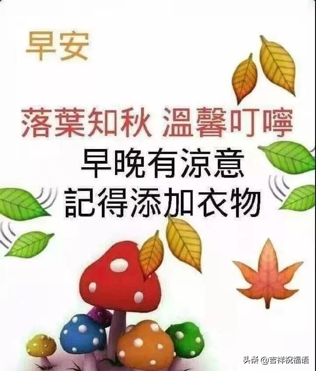 微信早晨暖心的祝福语句，句句温暖人心的早安问候语