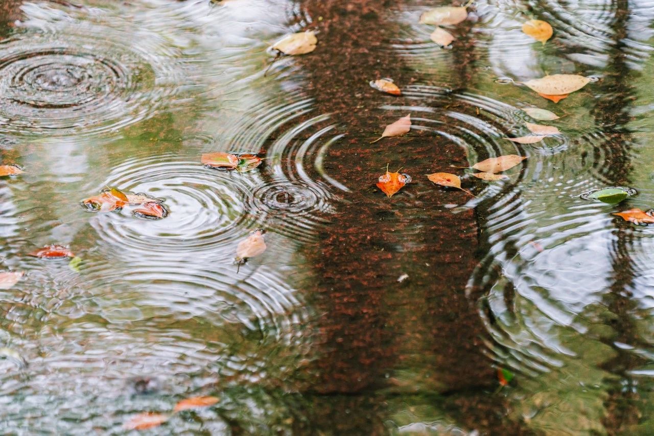 诗词｜雨天发朋友圈，文案这样写