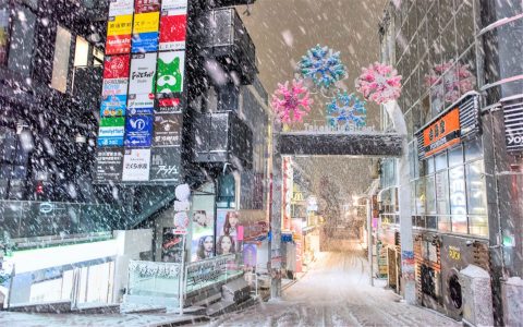 大雪纷飞的唯美句子 小小的六瓣雪 花从空中降落 在我心上融化