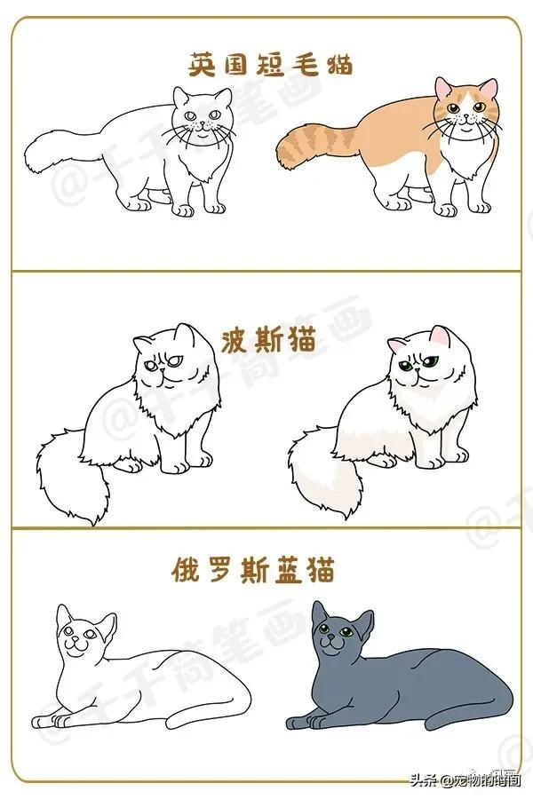 你家的猫咪简笔画在这里呦