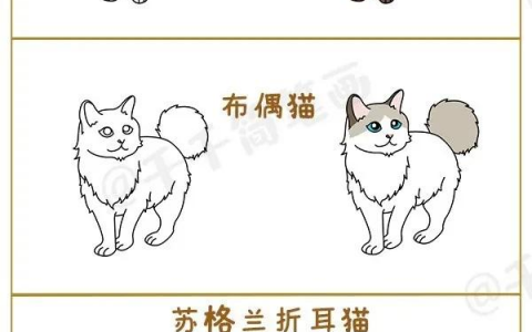 猫简笔画 喜欢什么样的小猫咪呢？你家的猫咪简笔画在这里呦