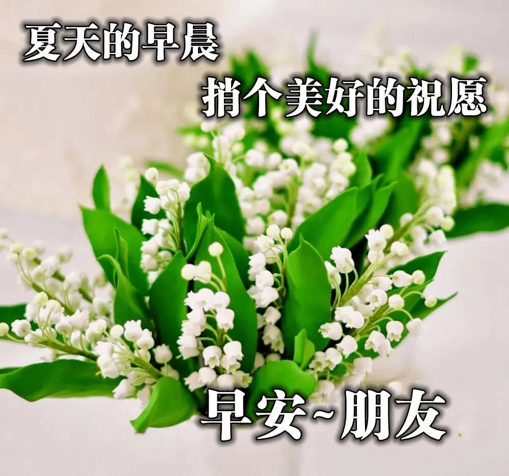 早晨问安：七月你好！愿有苦果吃，愿有累成反馈，早晨好