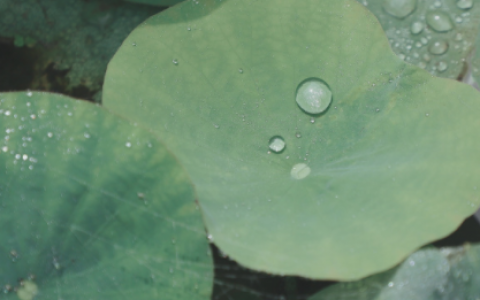 下雨幽默句子 雨天幽默又很正能量的句子 抖音上最火的下雨说说让人点赞