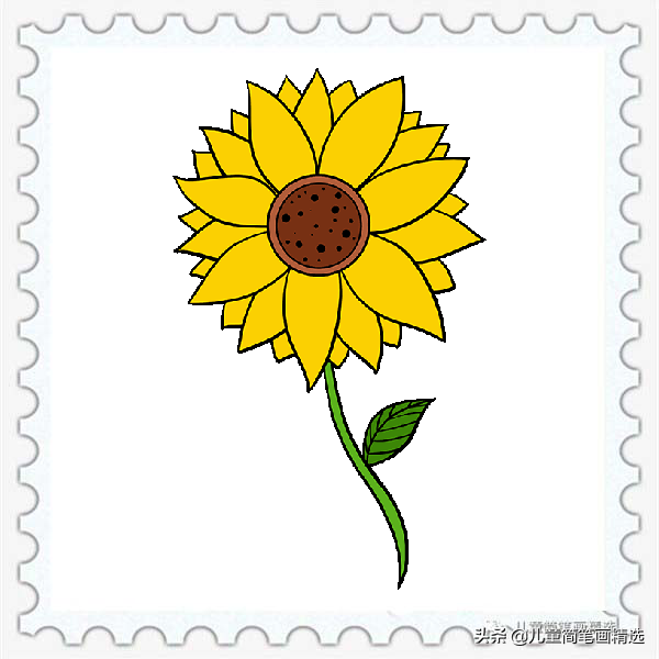 儿童简笔画精选-向日葵（Sunflower）的绘画步骤