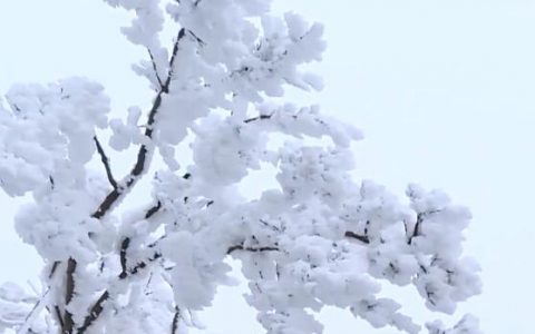 雪景的句子 下雪了发朋友圈的句子简单温暖 下雪的心情说说句子