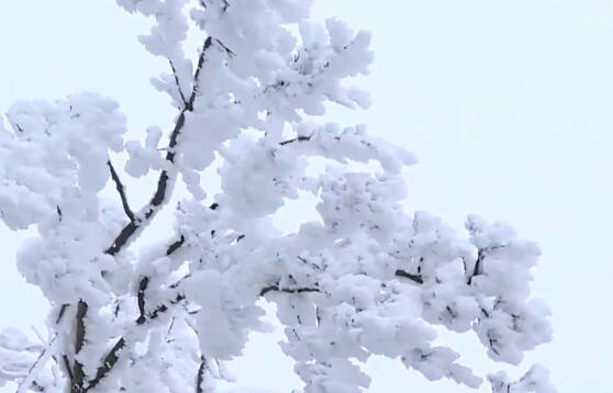 下雪的心情说说句子 下雪了发朋友圈的句子简单温暖