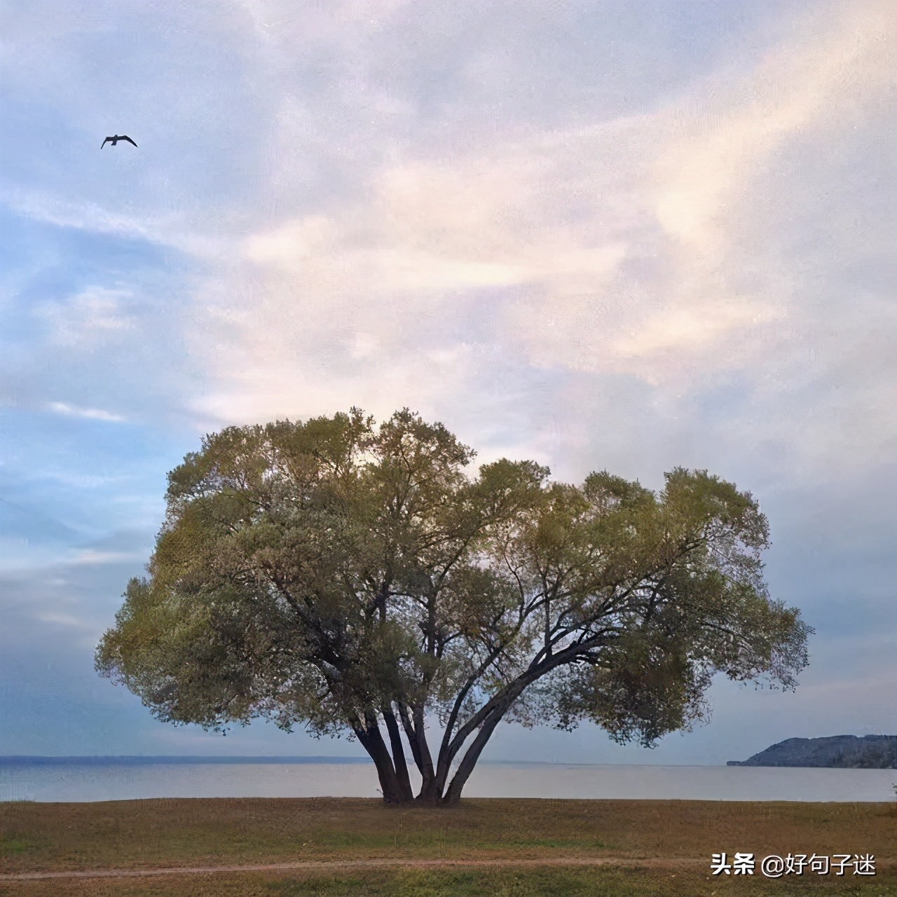 朋友圈最精辟的人生哲理句子，看完涨知识了