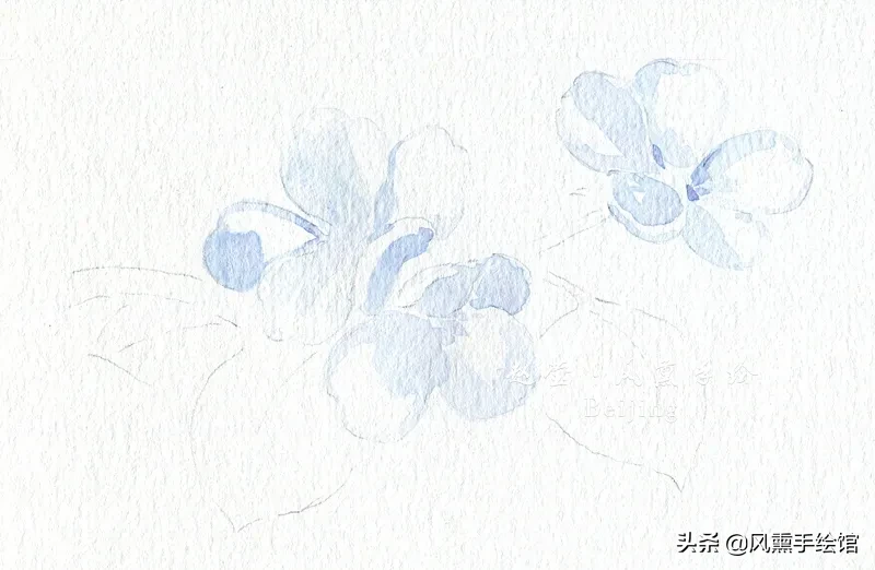 梨花简笔画图片大全大图 过了冬天春天就来啦，一起画梨花吧