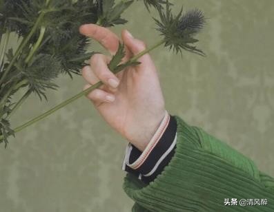 春暖花开的朋友圈句子