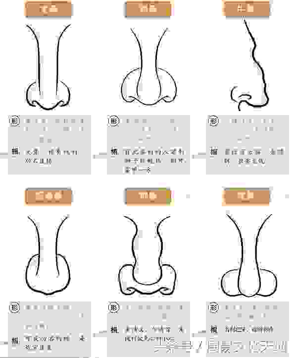 收藏！从鼻子一看看出你的财富和性格特点面相学技巧