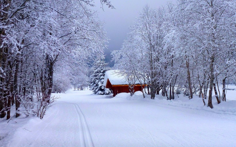 梦见推雪是什么意思啊，代表什么？