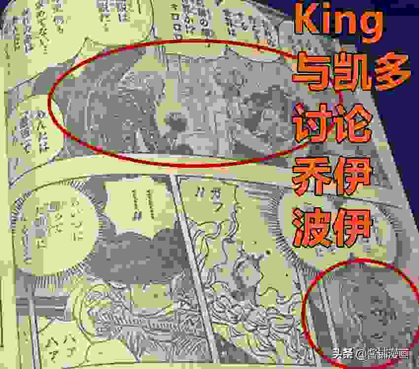 海贼王1036话，King认为凯多是乔伊波伊，索隆斩灭King后又昏迷了