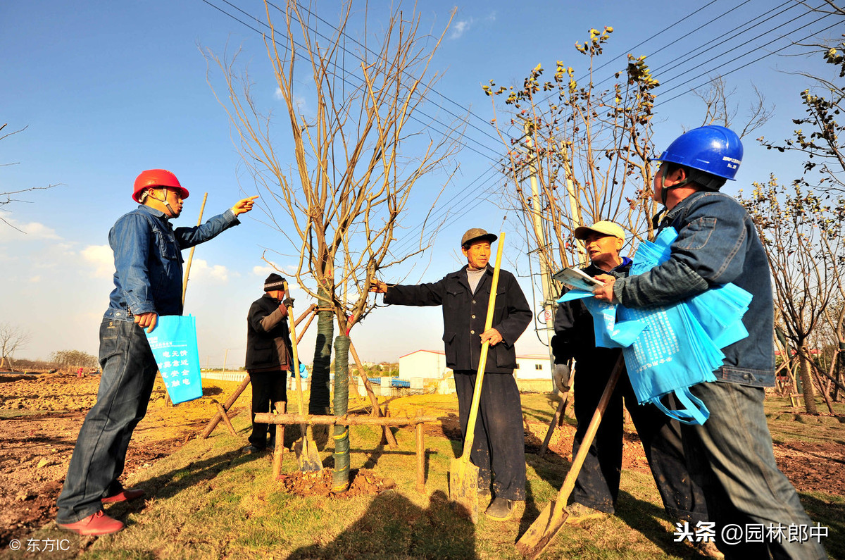 什么是惊蛰？惊蛰对于农业、林业，又有什么意义？