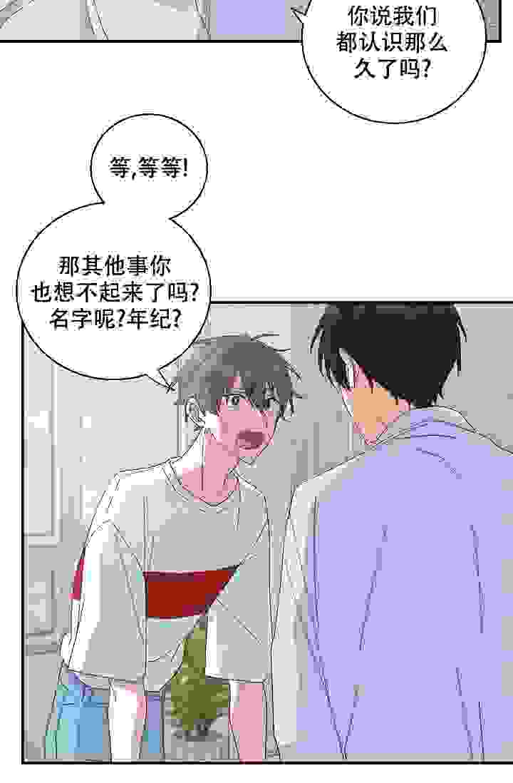 漫画《记忆中的恋人》《大公阁下》