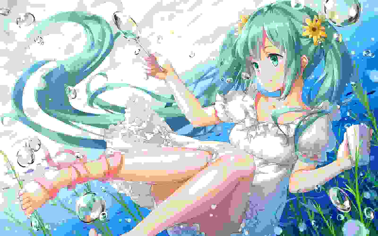 『初音ミク』精选美图〔21〕