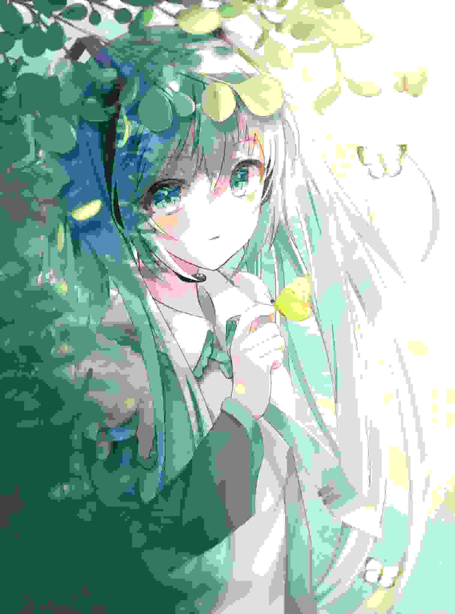 『初音ミク』Miku酱的骑士们看过来!——致最美好的Mikufans.㊿