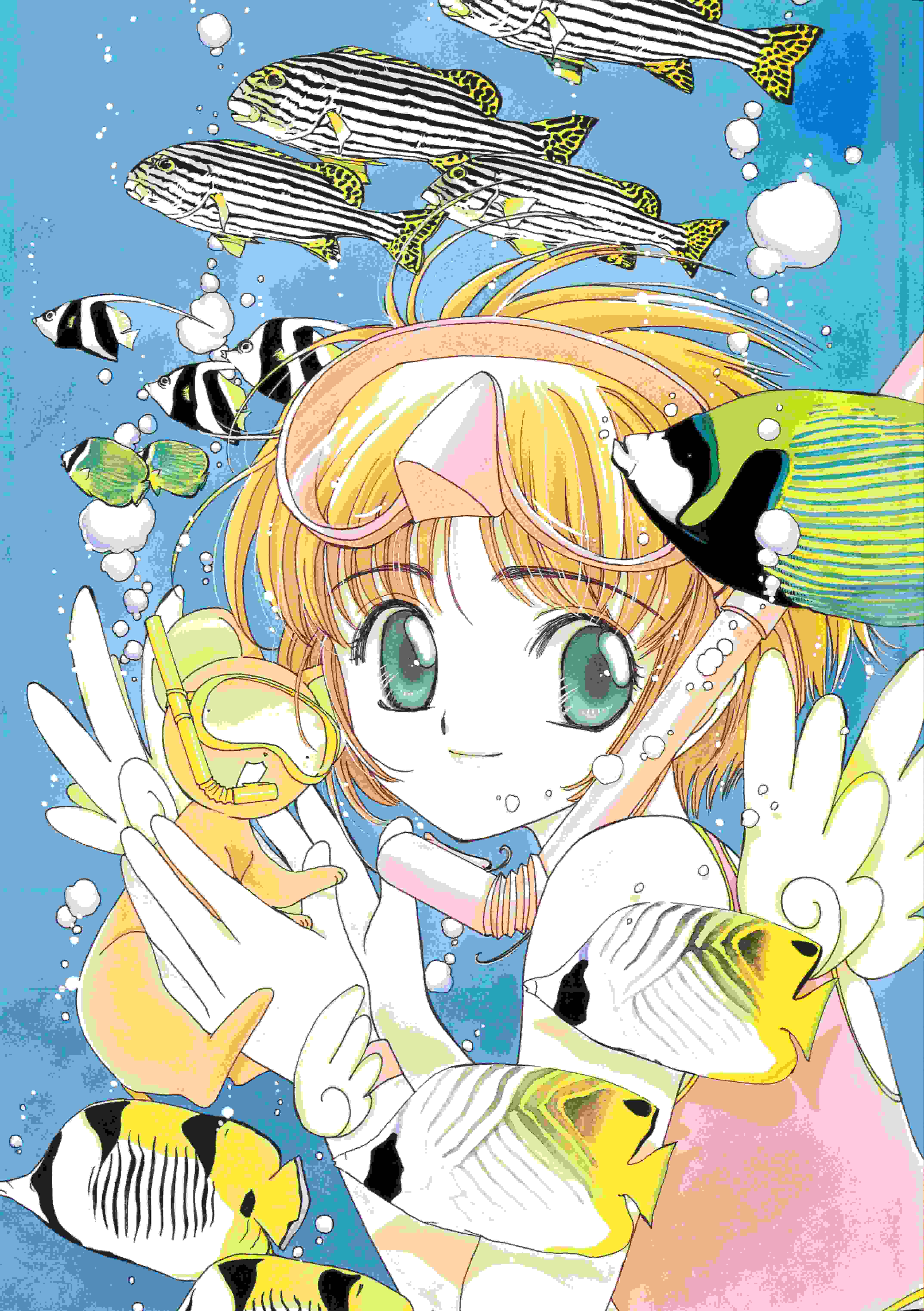 【画集】 [CLAMP] 魔卡少女樱 カードキャプターさくら 连载20周年纪念画集