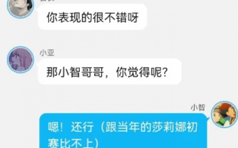 《智爷，莎总又误会了》第五章:（华丽大赛初赛！杀气腾腾的小智）。下