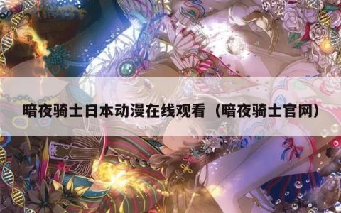 暗夜骑士日本动漫在线观看（暗夜骑士官网）