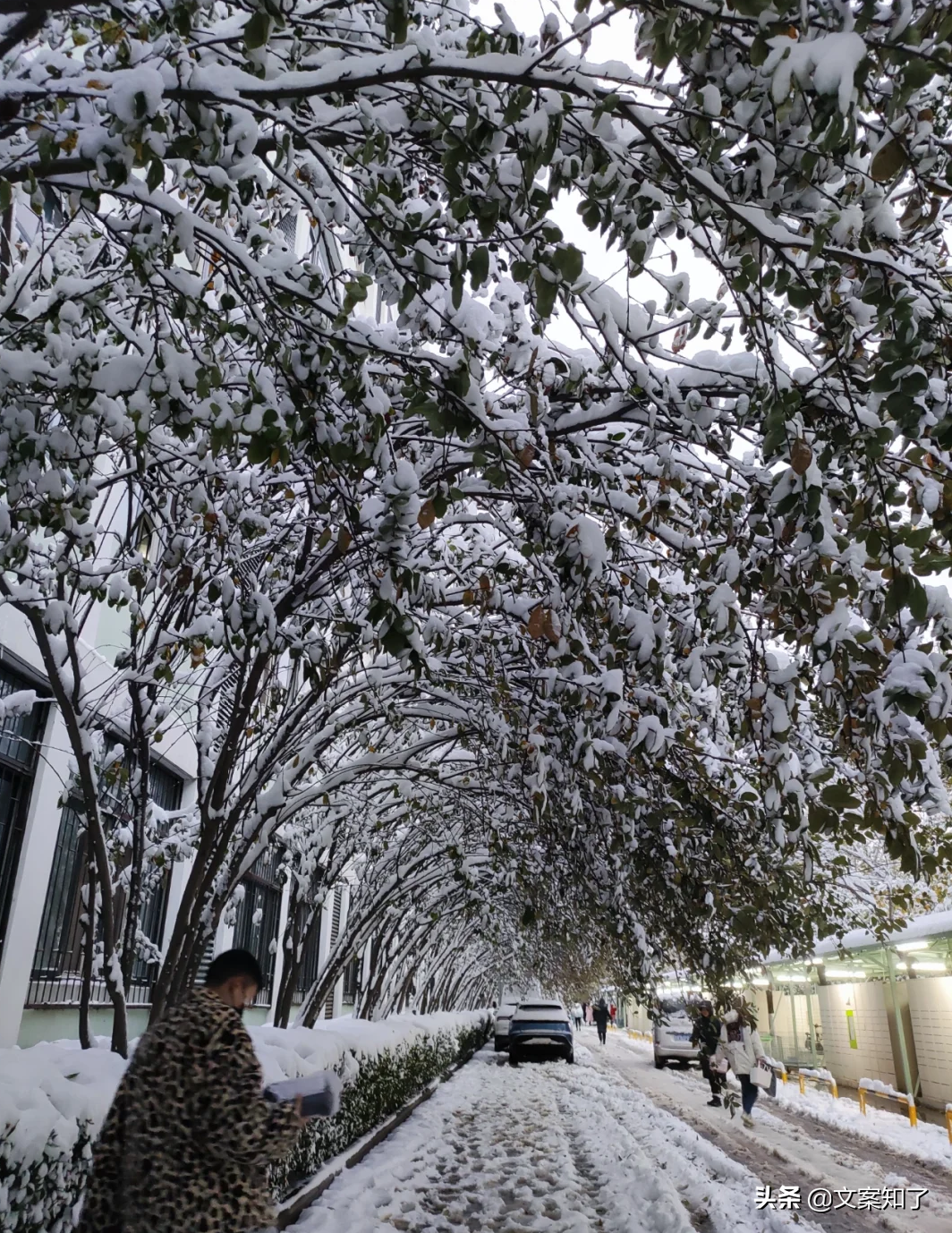 文案｜适合下雪时发的唯美朋友圈文案