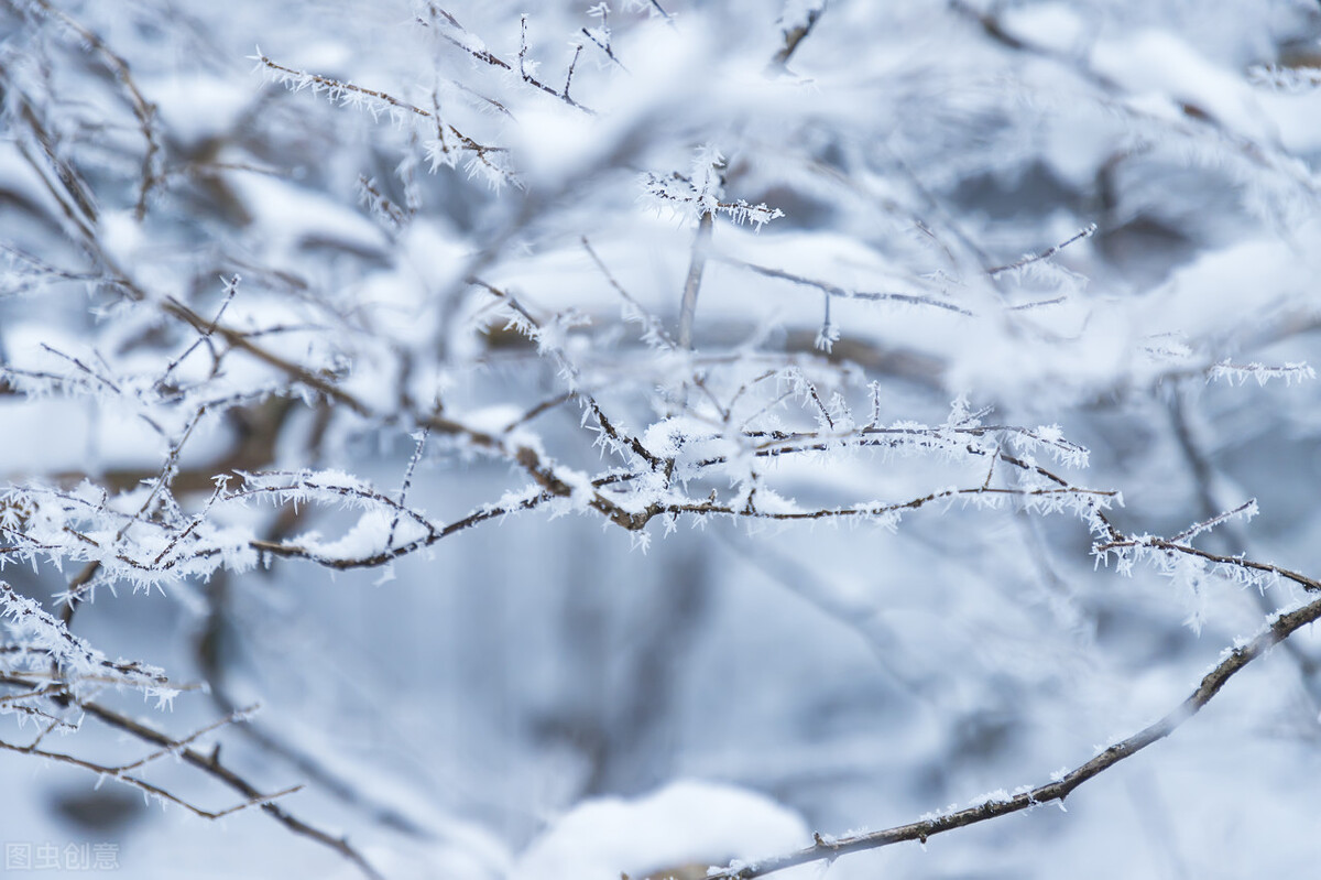 25句描写雪景的唯美诗句