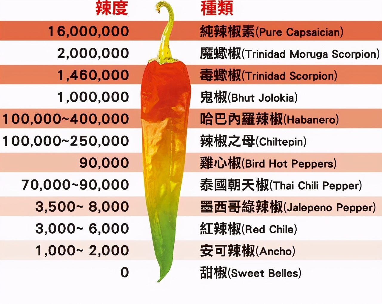 世界上最辣的辣椒，厨师都不敢用手触摸，辣度堪比生化武器