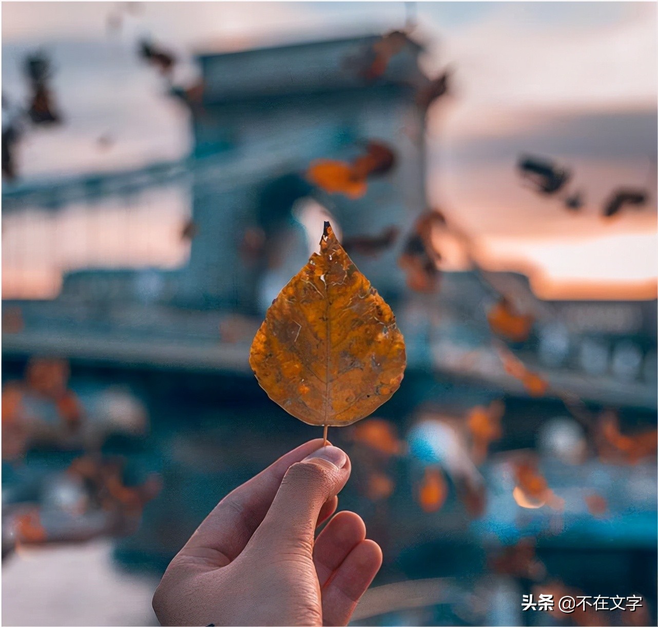 感悟生活的哲理句子，深刻有内涵，忍不住点赞