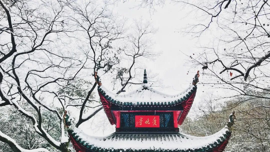 最美的10首冬至诗词，新雪玲珑，梅花欲开，醉美了整个冬天