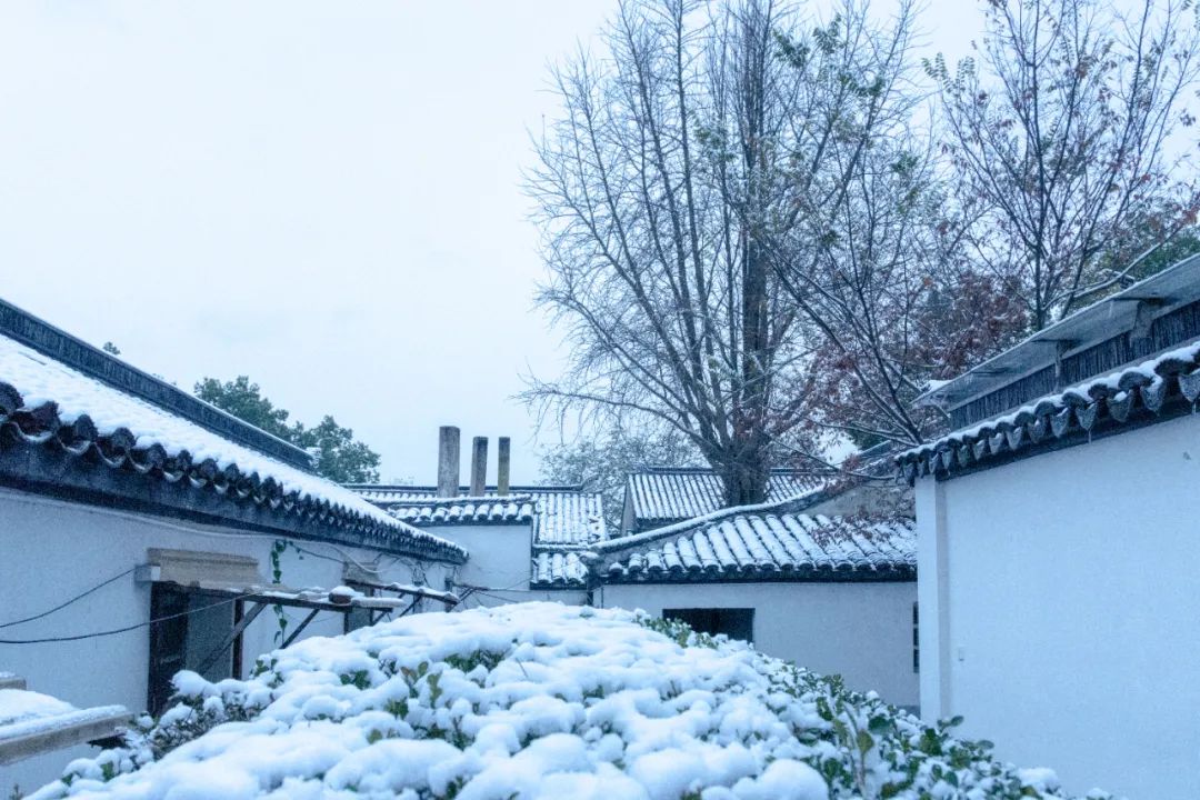 12句冬雪诗词，浪漫有情调，治愈了整个冬天