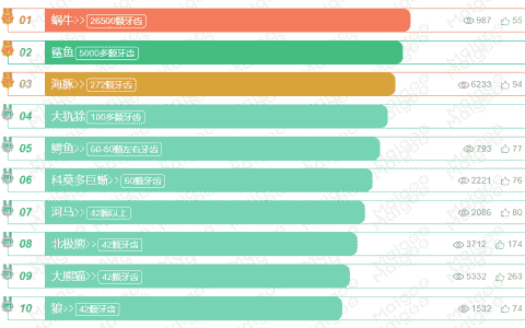 世界上牙齿最多的动物是什么（世界上最多牙齿的动物排名前十 ）