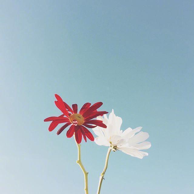 庆祝母亲节快乐送礼物祝福贺词，句句简短暖心